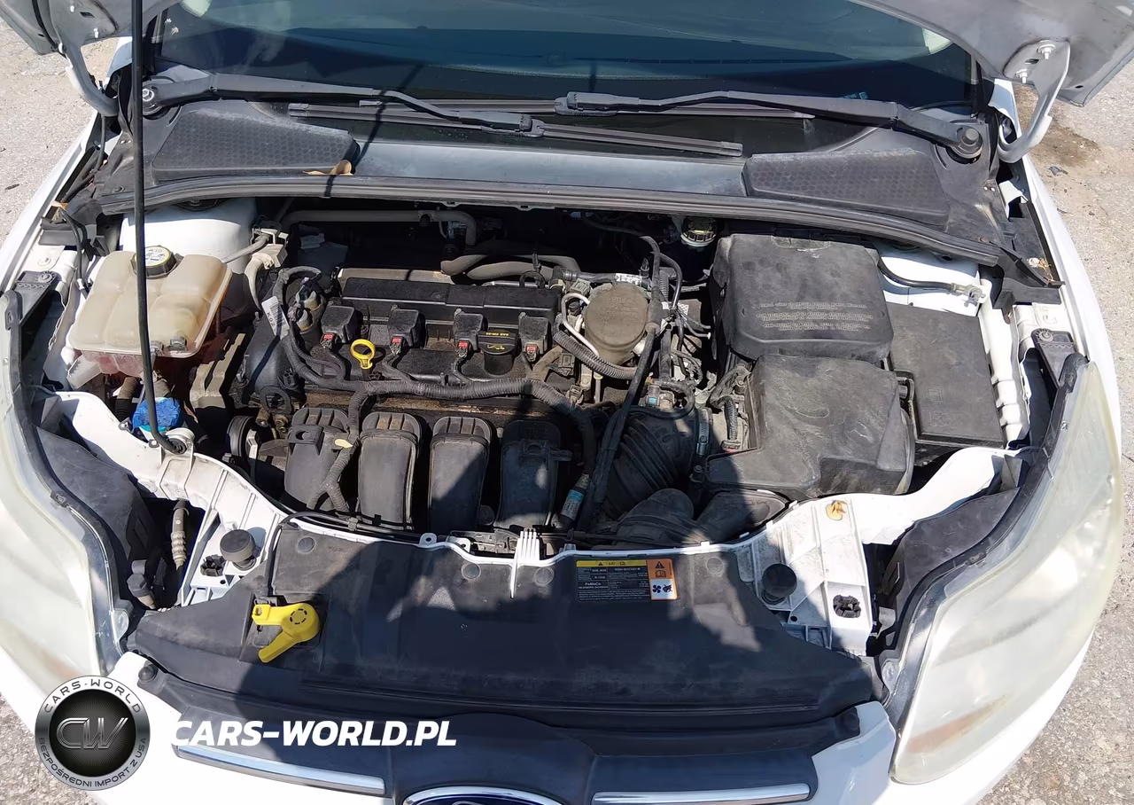 2013 Ford Focus S VIN:1FADP3E27DL297495 - 10