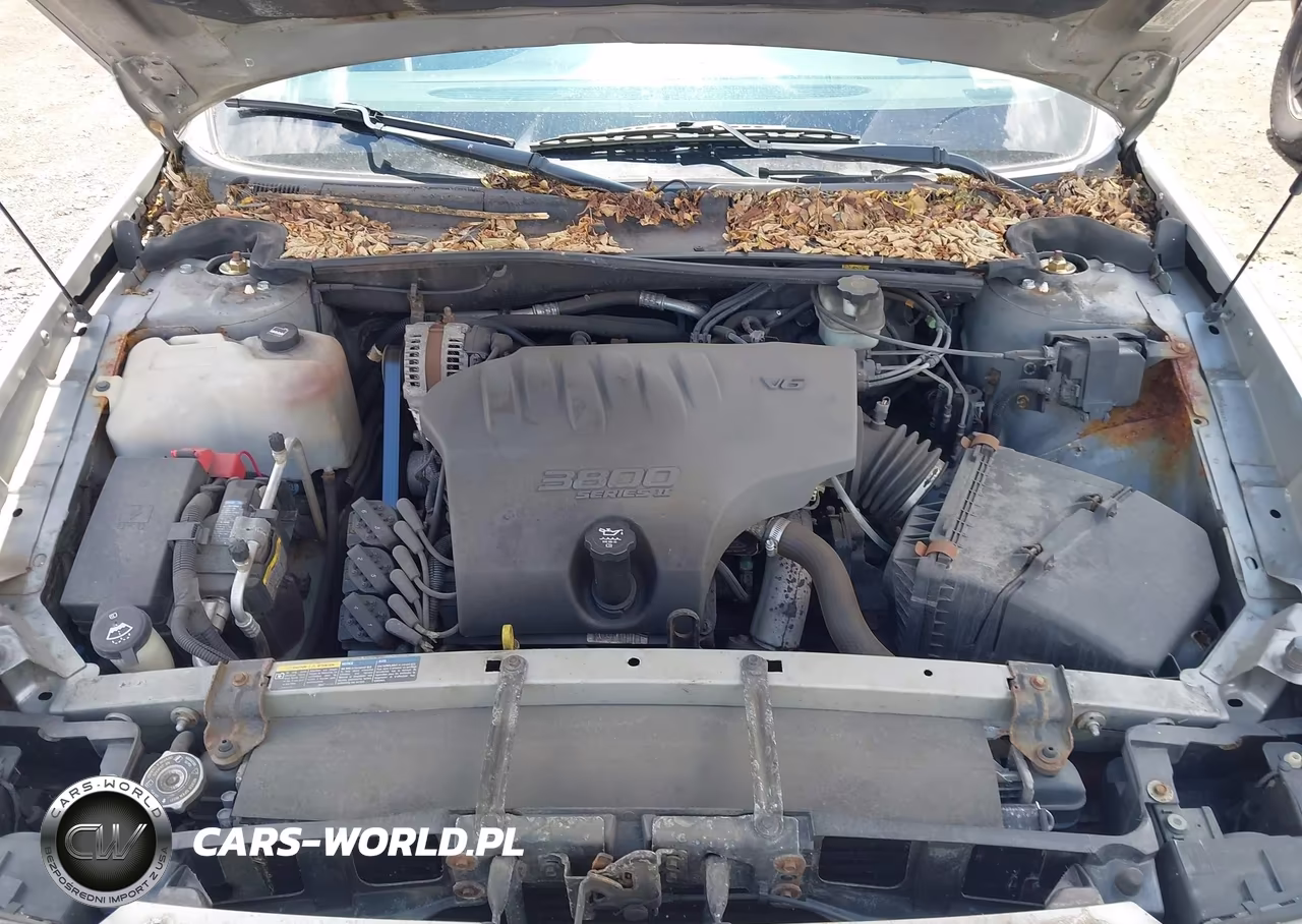 2005 Buick Lesabre Custom VIN:1G4HP54K85U240996 - 10