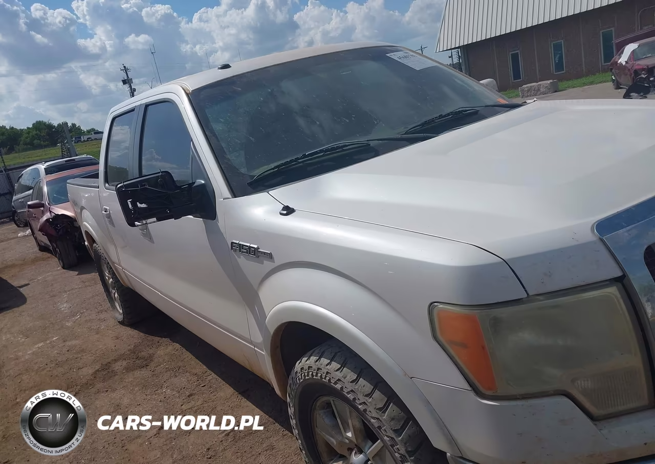 2010 Ford F-150 Fx4-Harley-Davidson-King Ranch-Lariat-Platinum-Xl-Xlt VIN:1FTFW1EV3AKA97820 - 13