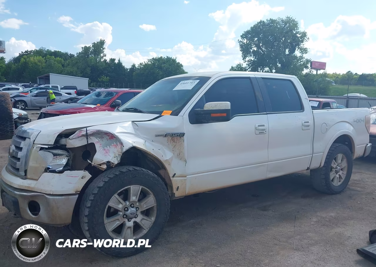 2010 Ford F-150 Fx4-Harley-Davidson-King Ranch-Lariat-Platinum-Xl-Xlt VIN:1FTFW1EV3AKA97820 - 14