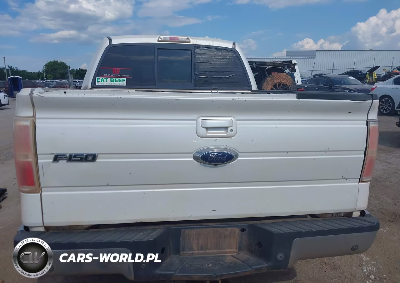2010 Ford F-150 Fx4-Harley-Davidson-King Ranch-Lariat-Platinum-Xl-Xlt VIN:1FTFW1EV3AKA97820 - 16