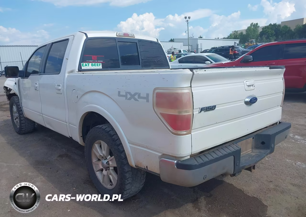 2010 Ford F-150 Fx4-Harley-Davidson-King Ranch-Lariat-Platinum-Xl-Xlt VIN:1FTFW1EV3AKA97820 - 3