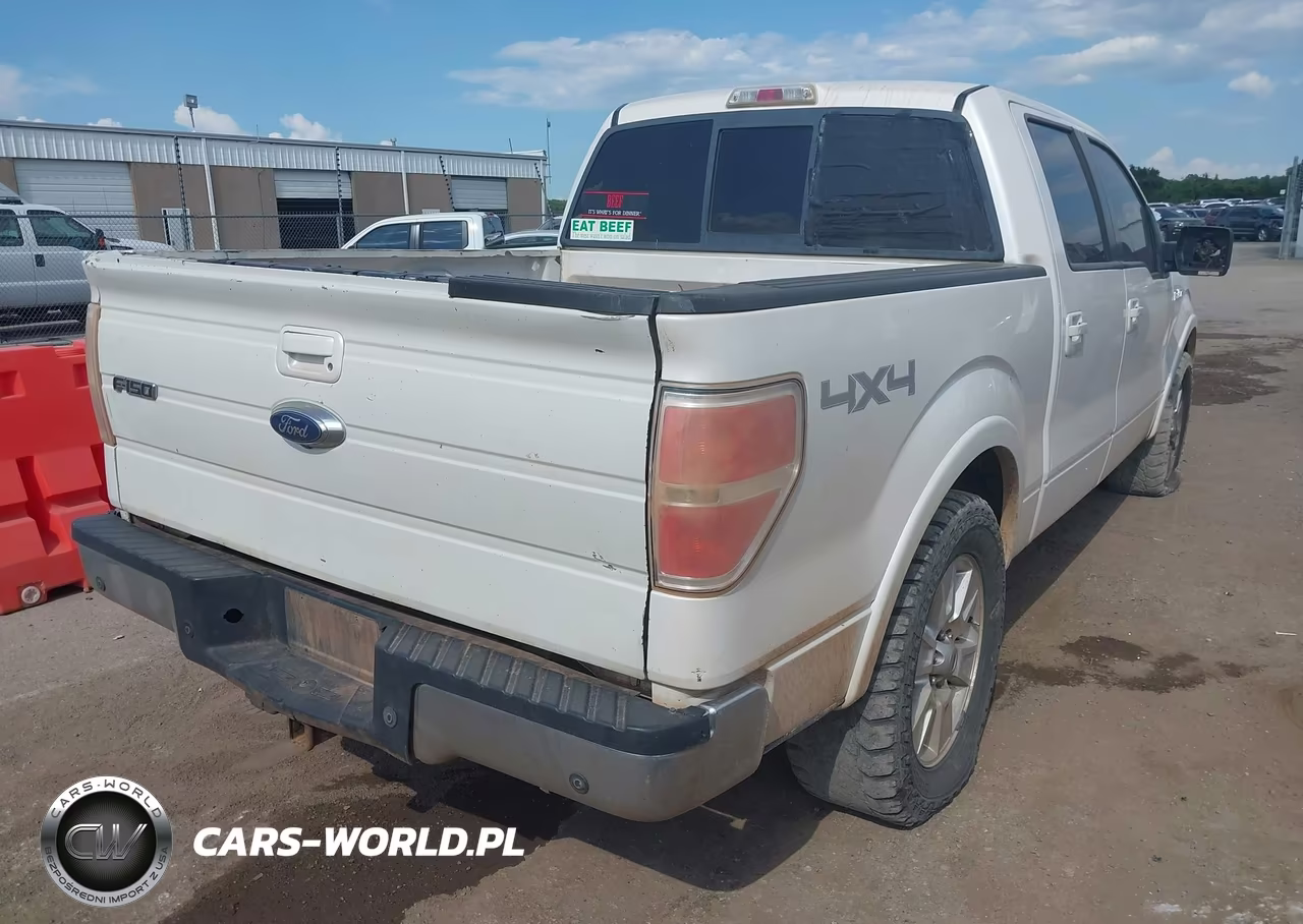 2010 Ford F-150 Fx4-Harley-Davidson-King Ranch-Lariat-Platinum-Xl-Xlt VIN:1FTFW1EV3AKA97820 - 4