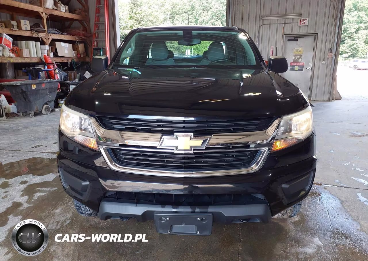 2017 Chevrolet Colorado 4Wd Wt VIN:1GCHTBEA6H1245561 - 17