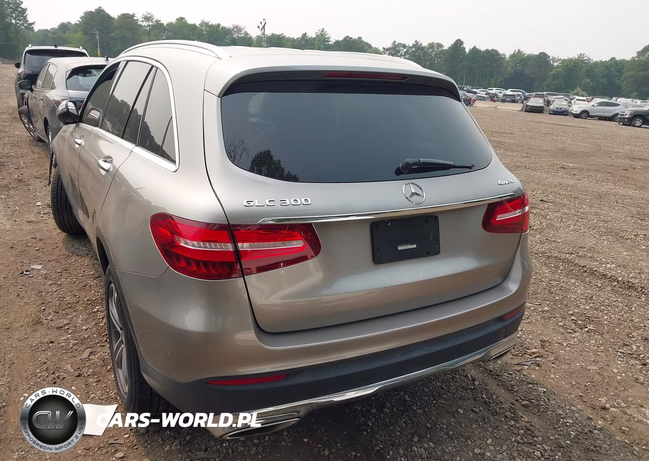 2019 Mercedes-Benz Glc 300 4Matic VIN:WDC0G4KB3KF659993 - 16