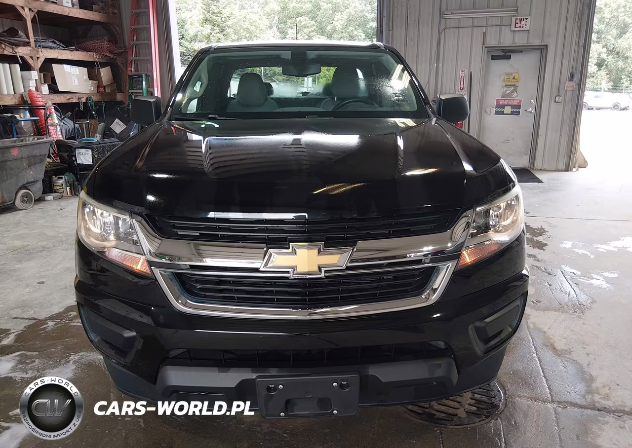2016 Chevrolet Colorado 4Wd Wt VIN:1GCHTBEA6G1231299 - 17