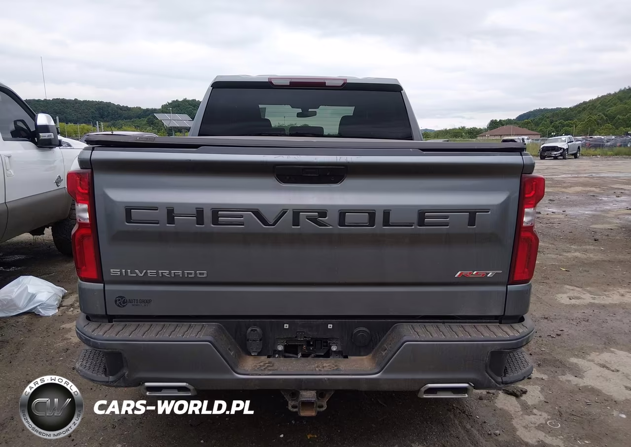 2020 Chevrolet Silverado 1500 4Wd Short Bed Rst VIN:3GCUYEET5LG191957 - 17