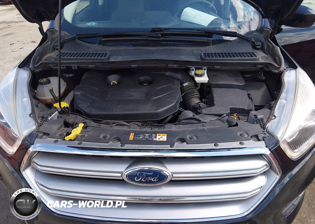 2017 Ford Escape Se VIN:1FMCU9G94HUE33301 - 10