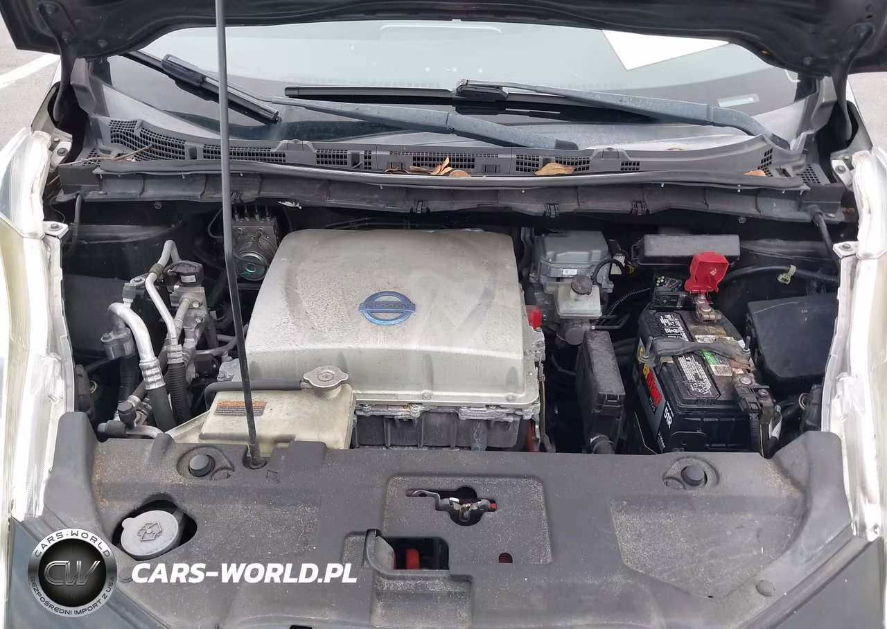 2015 Nissan Leaf Sl VIN:1N4AZ0CP7FC311747 - 10