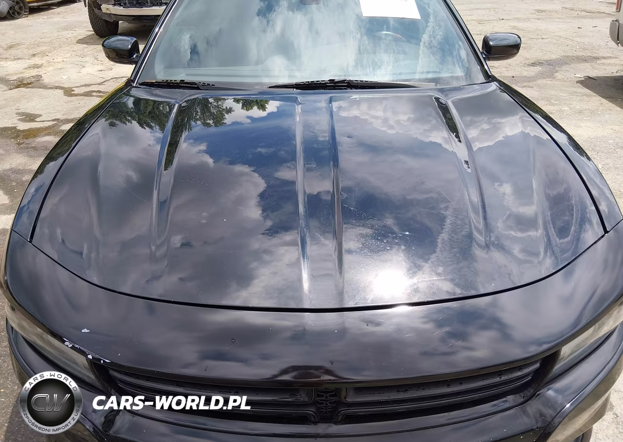 2016 Dodge Charger Sxt VIN:2C3CDXHG4GH259192 - 17