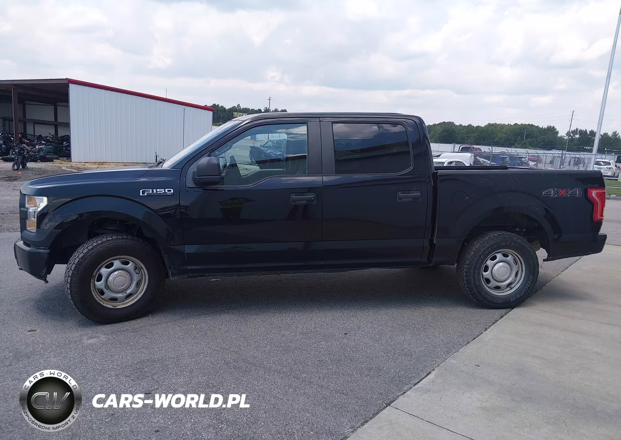 2017 Ford F-150 Xl VIN:1FTEW1E80HKE26182 - 16