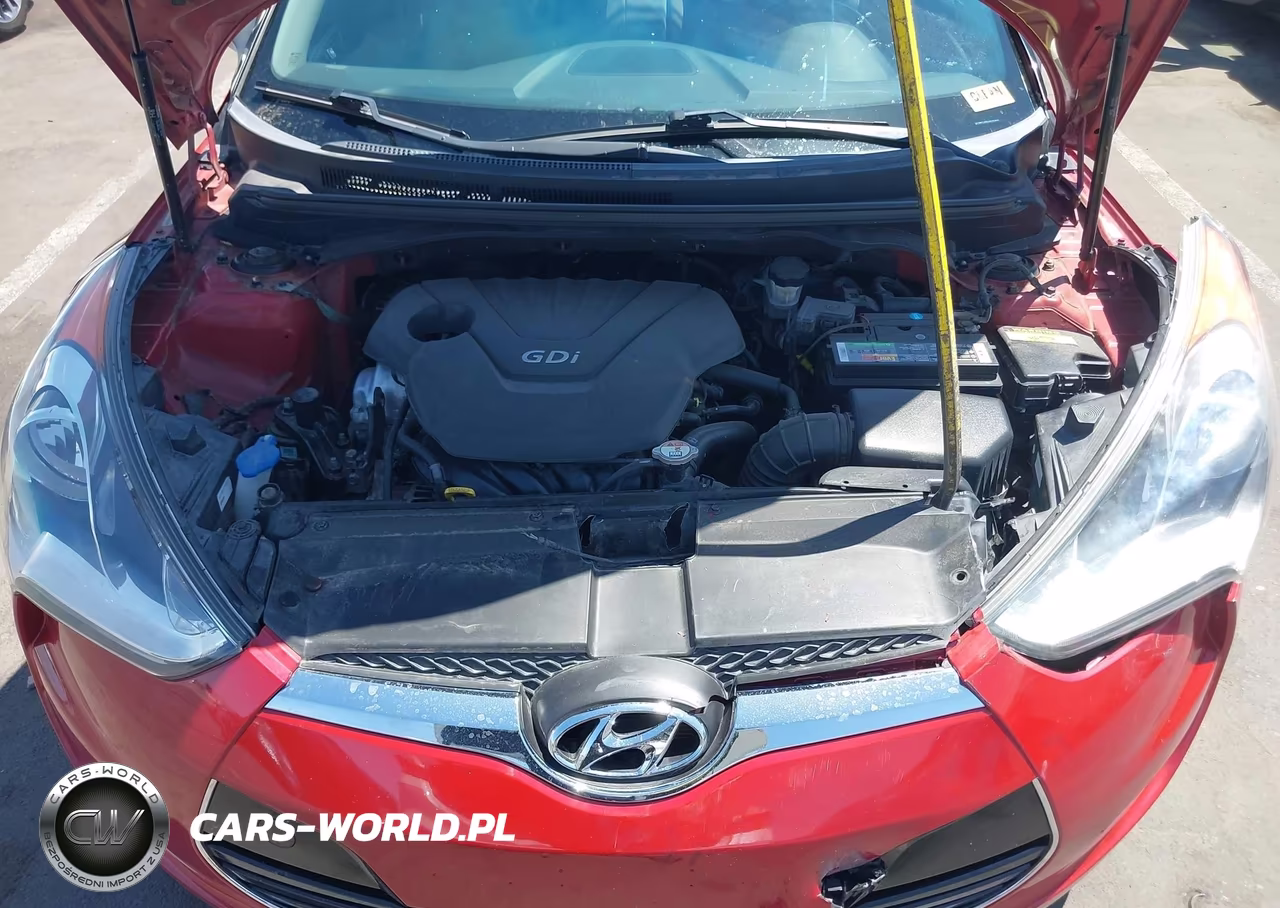 2013 Hyundai Veloster Base W-Gray VIN:KMHTC6AD3DU165608 - 10
