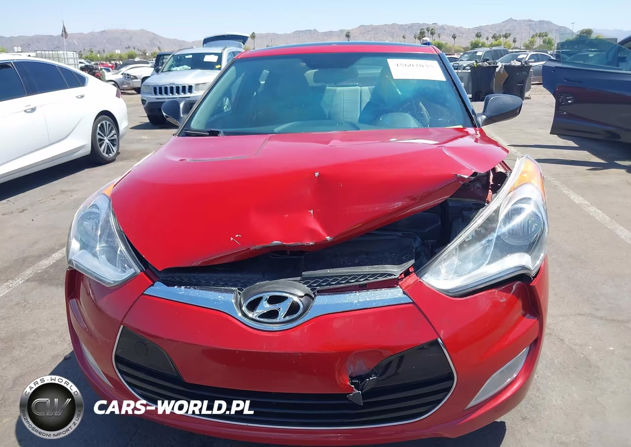 2013 Hyundai Veloster Base W-Gray VIN:KMHTC6AD3DU165608 - 12