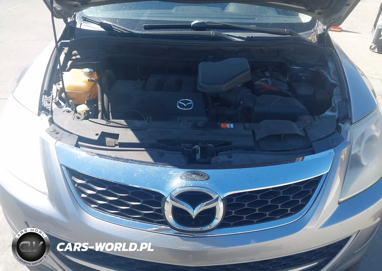 2010 Mazda Cx-9 Touring VIN:JM3TB2MV3A0223702 - 10