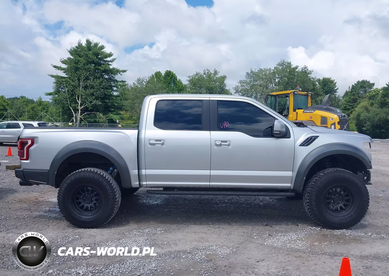 2017 Ford F-150 Raptor VIN:1FTFW1RG7HFA21368 - 14