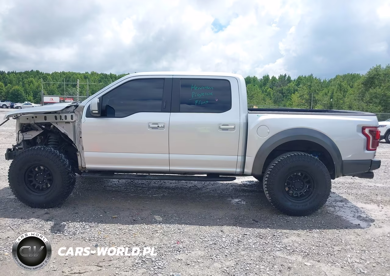 2017 Ford F-150 Raptor VIN:1FTFW1RG7HFA21368 - 15
