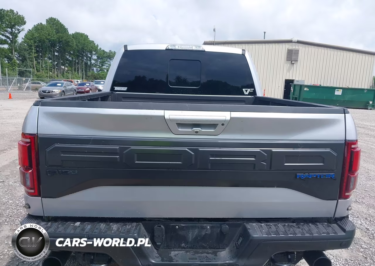2017 Ford F-150 Raptor VIN:1FTFW1RG7HFA21368 - 17