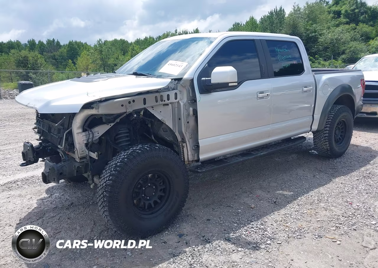 2017 Ford F-150 Raptor VIN:1FTFW1RG7HFA21368 - 2