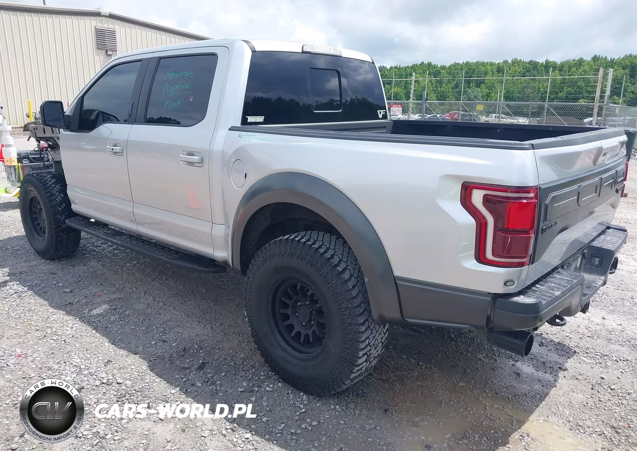2017 Ford F-150 Raptor VIN:1FTFW1RG7HFA21368 - 3