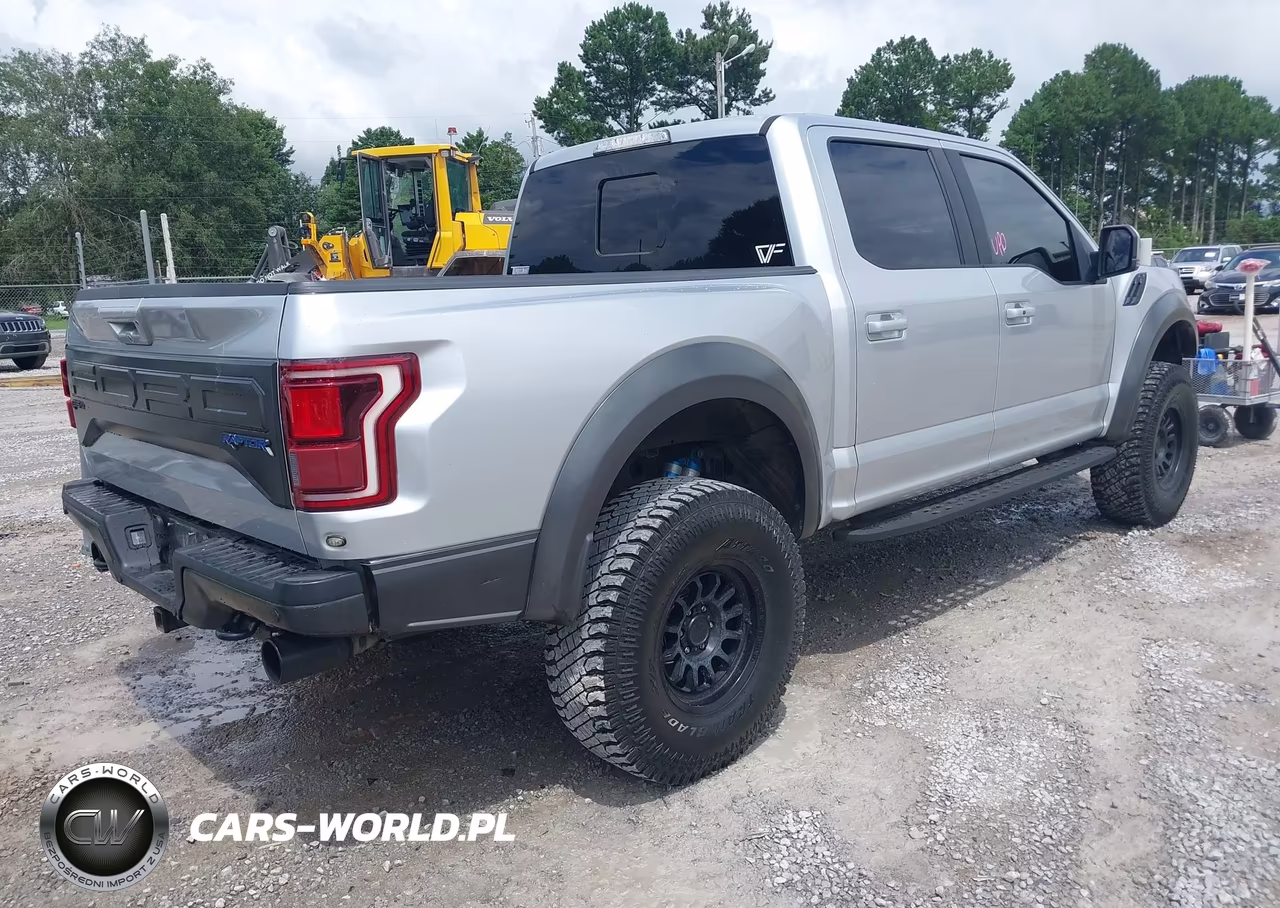 2017 Ford F-150 Raptor VIN:1FTFW1RG7HFA21368 - 4