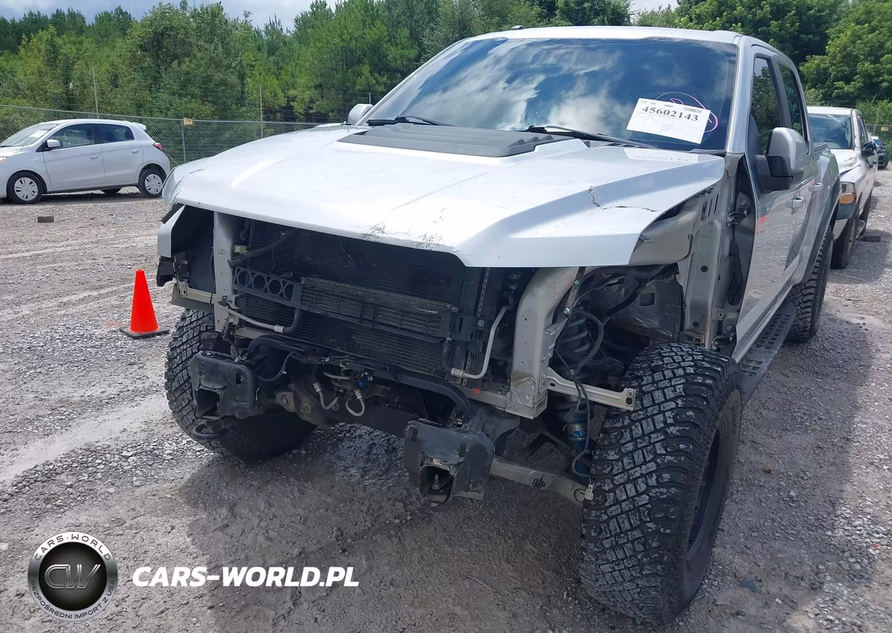 2017 Ford F-150 Raptor VIN:1FTFW1RG7HFA21368 - 6
