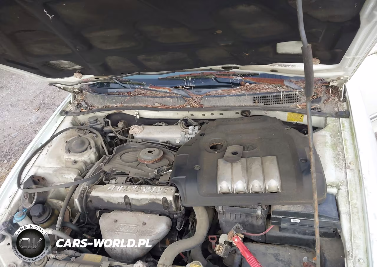 2001 Kia Optima Lx-Se VIN:KNAGD126415067647 - 10