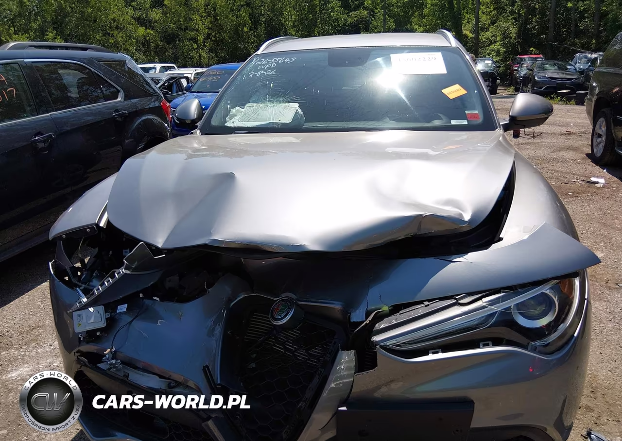 2019 Alfa Romeo Stelvio Awd VIN:ZASPAKAN3K7C59892 - 12