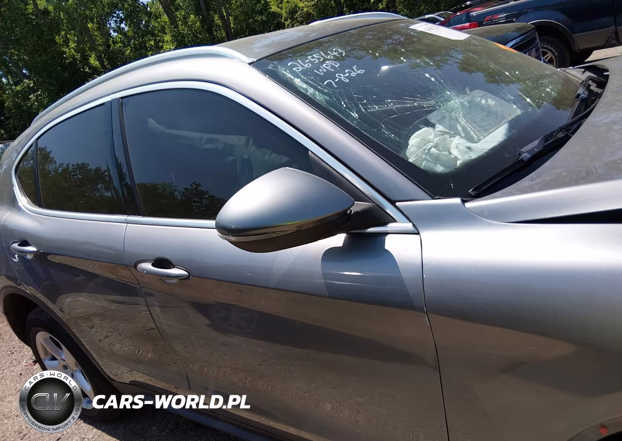 2019 Alfa Romeo Stelvio Awd VIN:ZASPAKAN3K7C59892 - 13