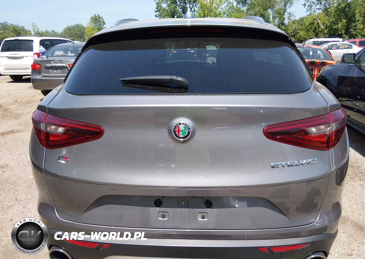 2019 Alfa Romeo Stelvio Awd VIN:ZASPAKAN3K7C59892 - 16