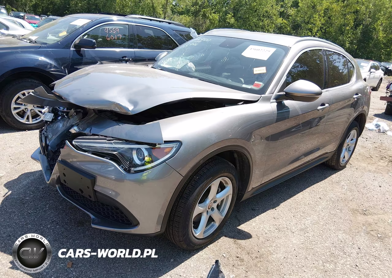 2019 Alfa Romeo Stelvio Awd VIN:ZASPAKAN3K7C59892 - 2