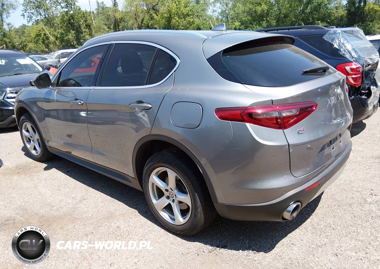 2019 Alfa Romeo Stelvio Awd VIN:ZASPAKAN3K7C59892 - 3