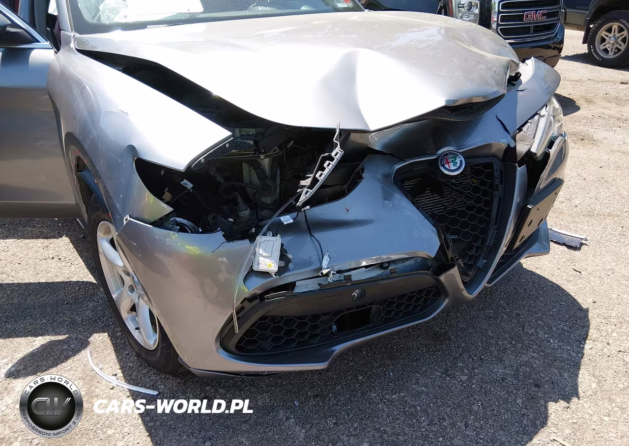 2019 Alfa Romeo Stelvio Awd VIN:ZASPAKAN3K7C59892 - 6