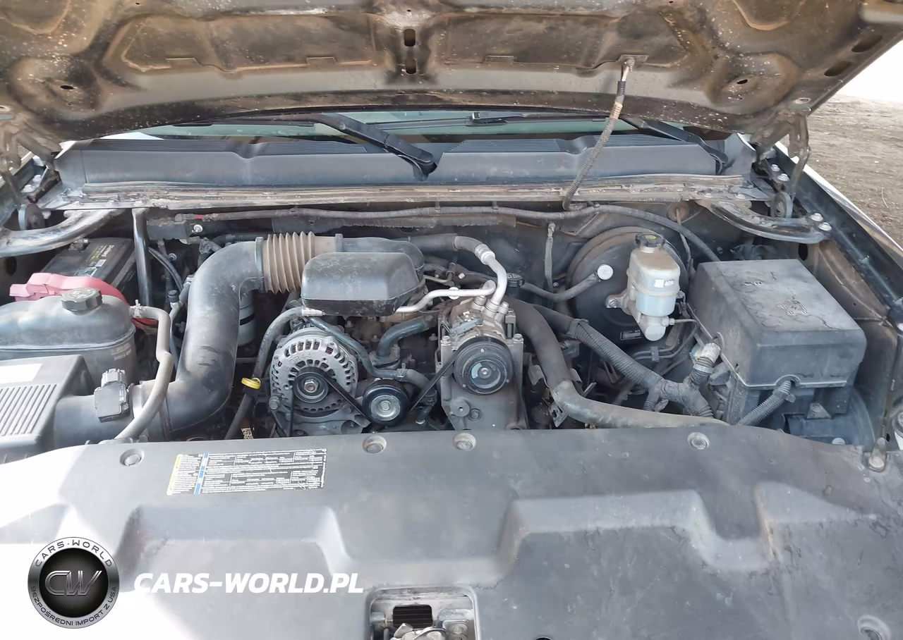 2009 Chevrolet Silverado 1500 Work Truck VIN:1GCEC14X69Z145577 - 10