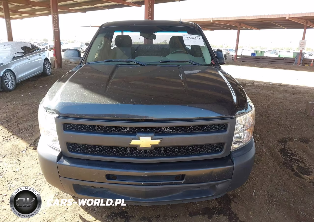 2009 Chevrolet Silverado 1500 Work Truck VIN:1GCEC14X69Z145577 - 12