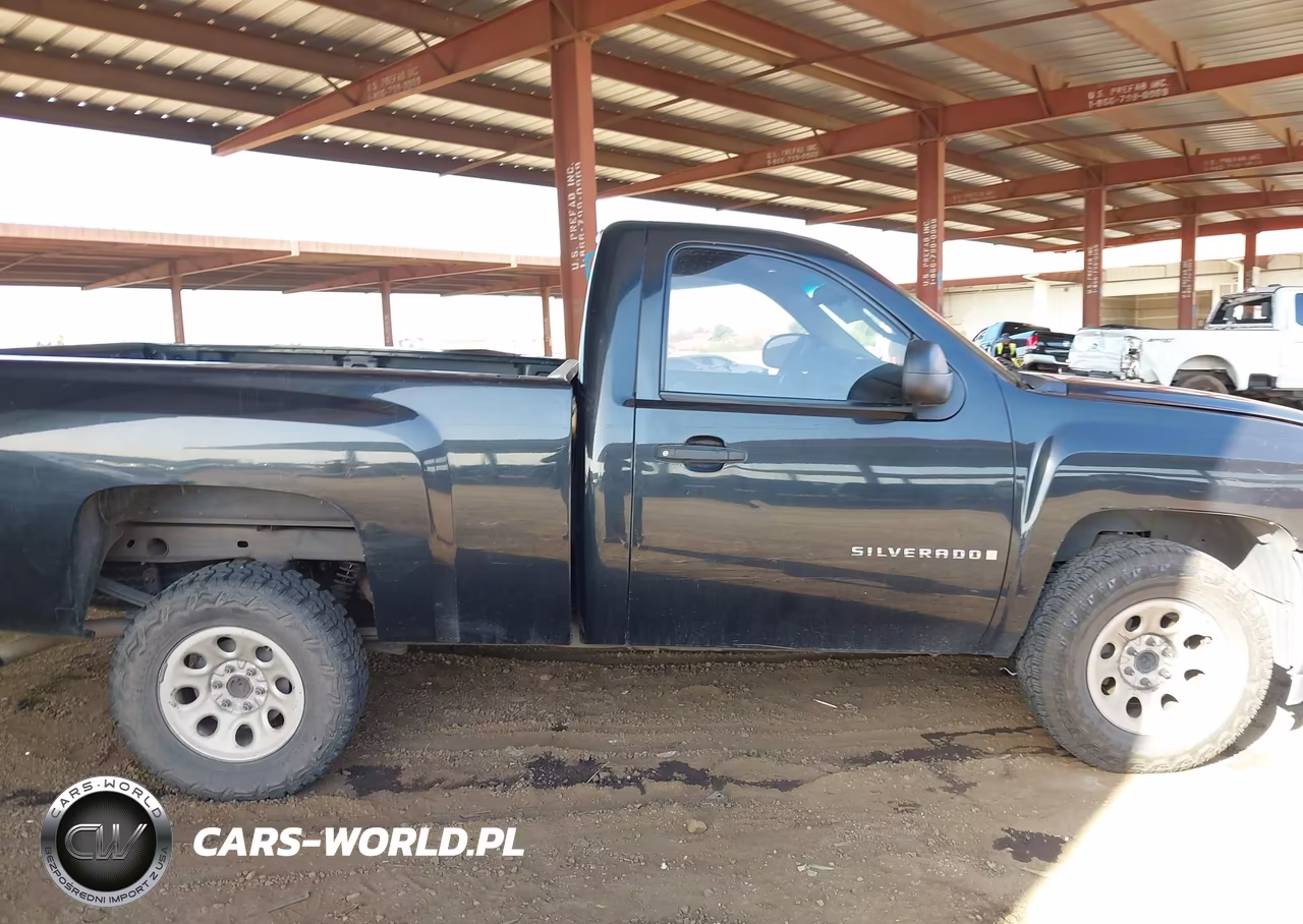 2009 Chevrolet Silverado 1500 Work Truck VIN:1GCEC14X69Z145577 - 13
