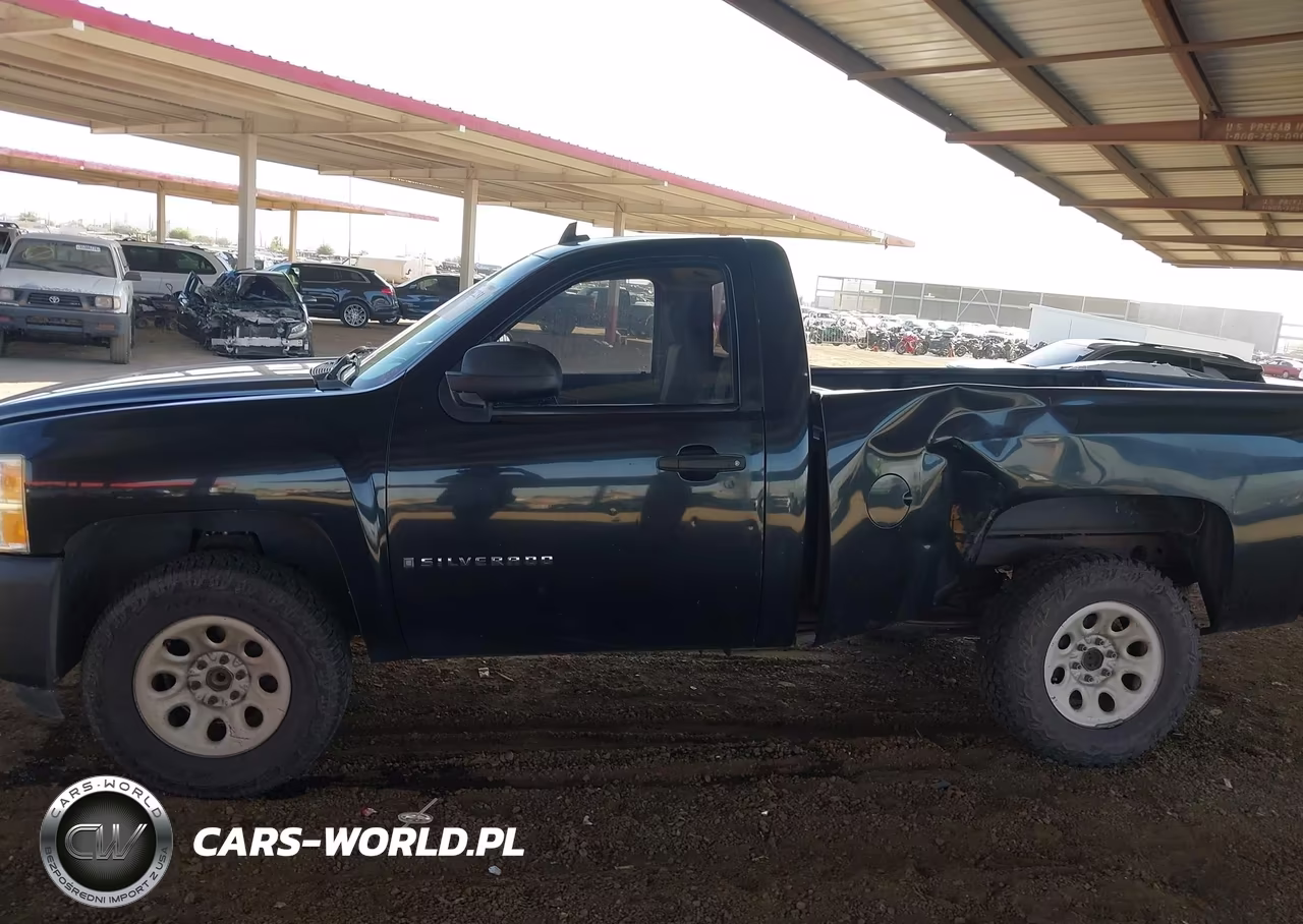 2009 Chevrolet Silverado 1500 Work Truck VIN:1GCEC14X69Z145577 - 14