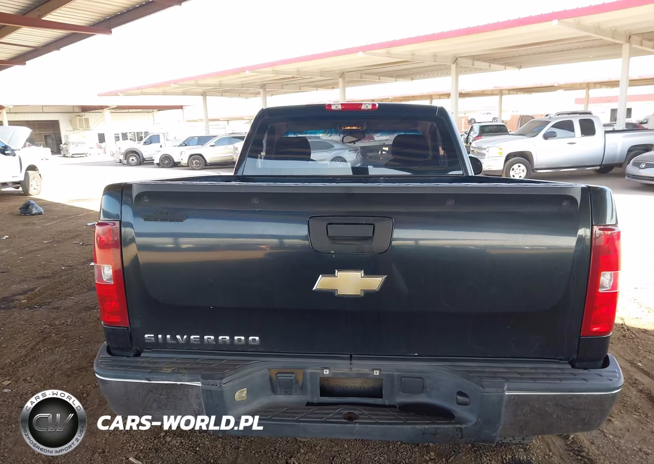 2009 Chevrolet Silverado 1500 Work Truck VIN:1GCEC14X69Z145577 - 16