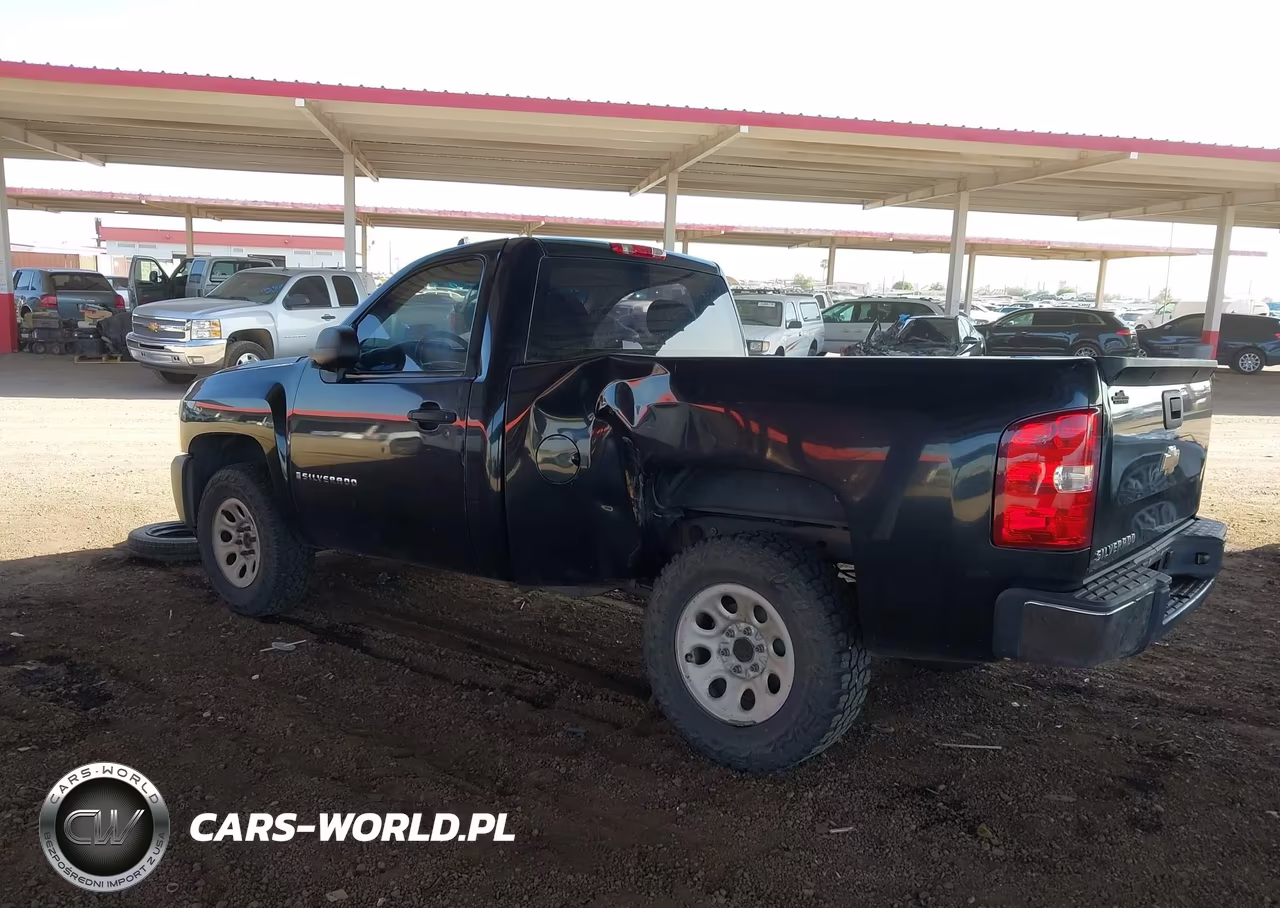 2009 Chevrolet Silverado 1500 Work Truck VIN:1GCEC14X69Z145577 - 6