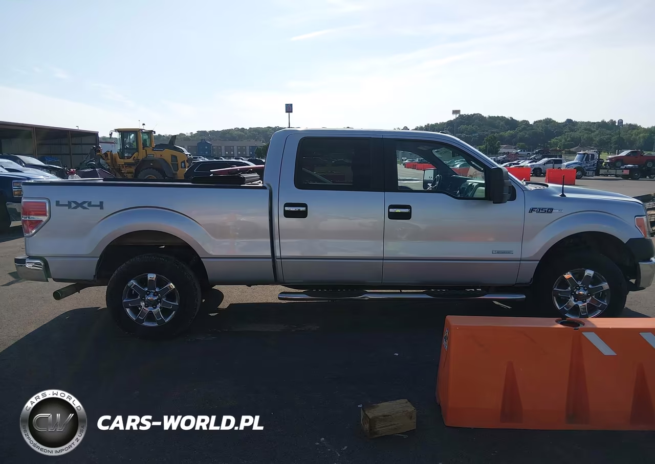 2014 Ford F-150 Xlt VIN:1FTFW1ET6EFA10036 - 13