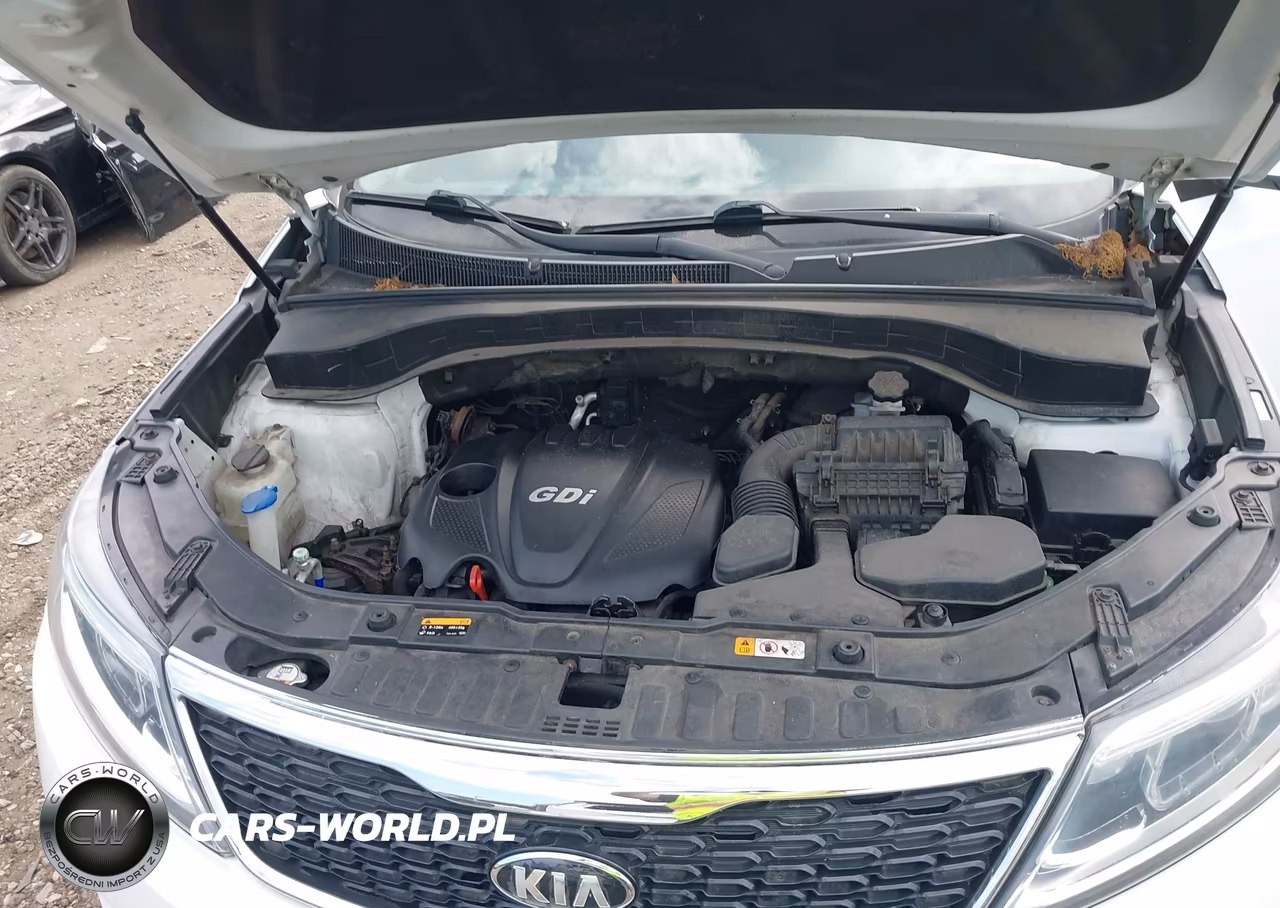 2014 Kia Sorento Lx VIN:5XYKTCA61EG544481 - 10