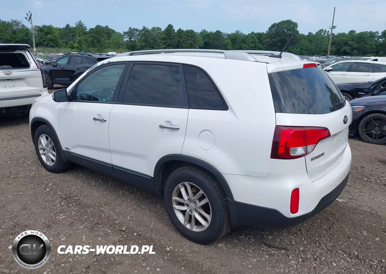 2014 Kia Sorento Lx VIN:5XYKTCA61EG544481 - 3
