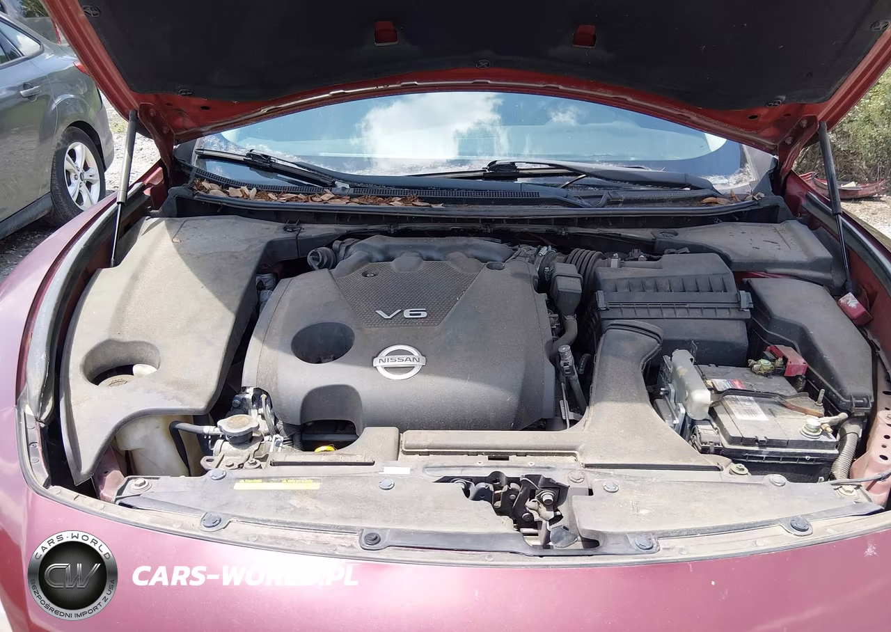 2013 Nissan Maxima 3.5 Sv VIN:1N4AA5AP2DC833738 - 10