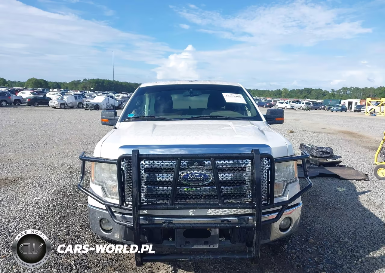 2010 Ford F-150 Fx2 Sport-Harley-Davidson-King Ranch-Lariat-Platinum-Xl-Xlt VIN:1FTFW1CV8AFC14612 - 12