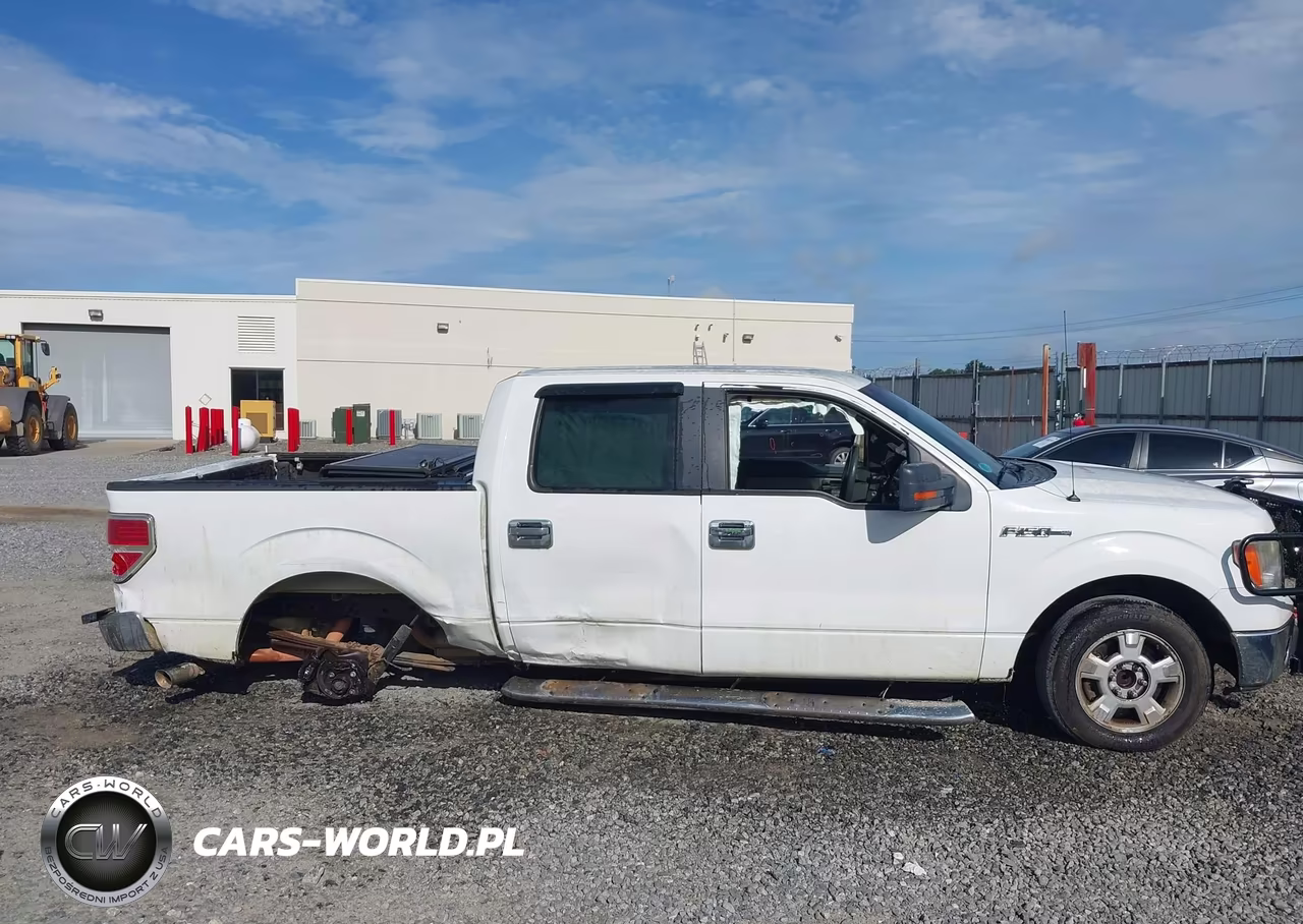 2010 Ford F-150 Fx2 Sport-Harley-Davidson-King Ranch-Lariat-Platinum-Xl-Xlt VIN:1FTFW1CV8AFC14612 - 13