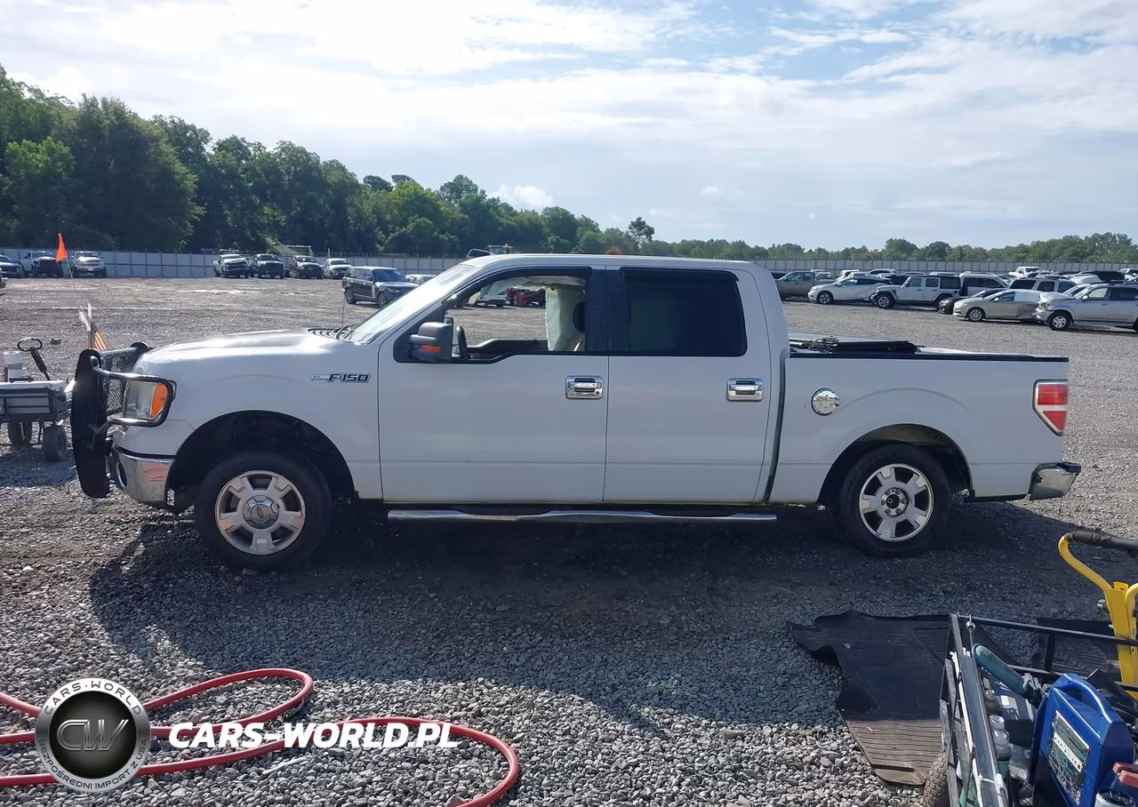 2010 Ford F-150 Fx2 Sport-Harley-Davidson-King Ranch-Lariat-Platinum-Xl-Xlt VIN:1FTFW1CV8AFC14612 - 14