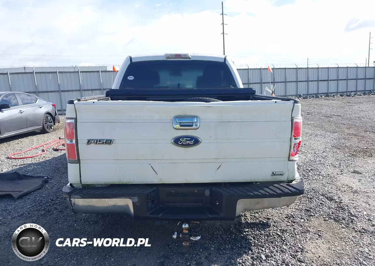 2010 Ford F-150 Fx2 Sport-Harley-Davidson-King Ranch-Lariat-Platinum-Xl-Xlt VIN:1FTFW1CV8AFC14612 - 16