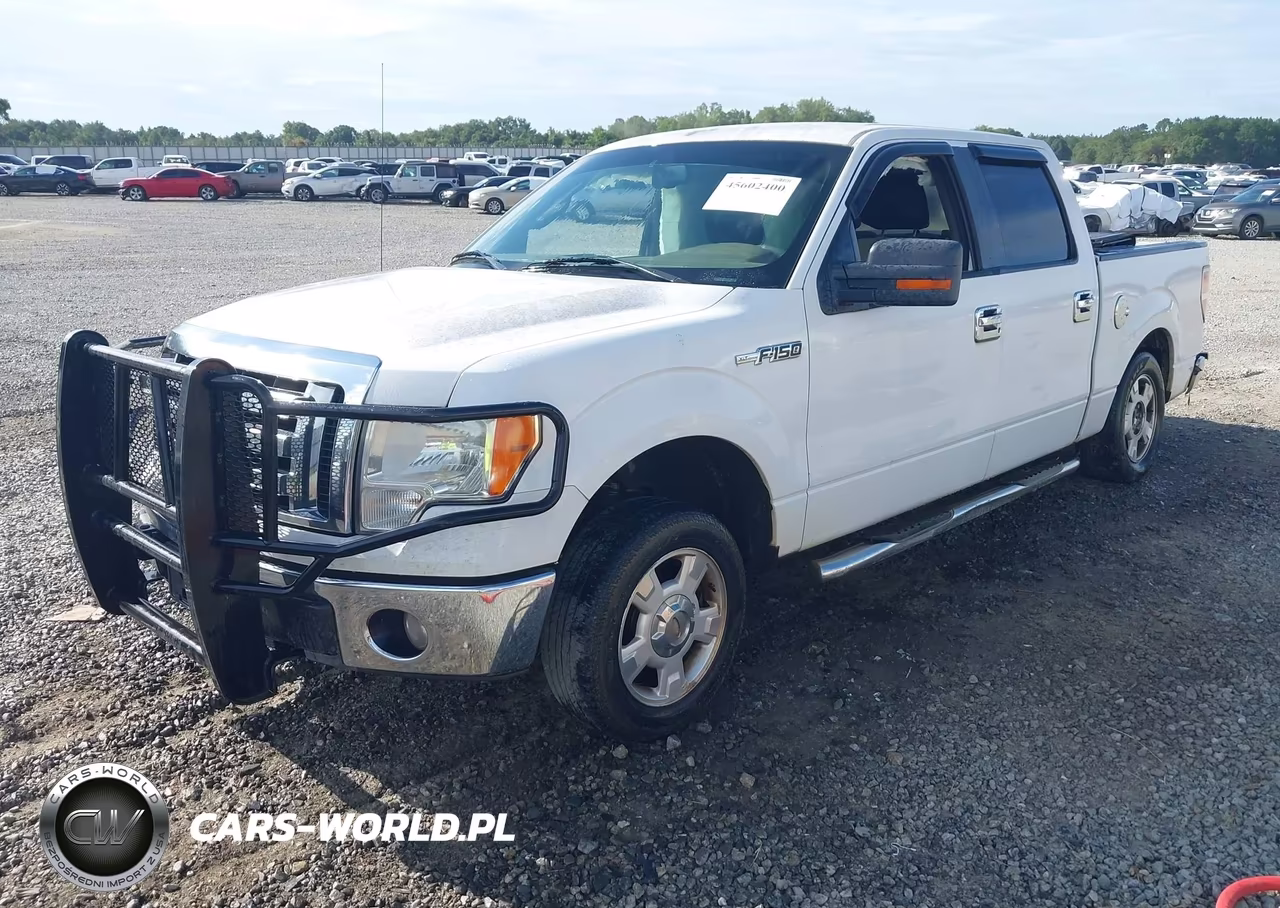 2010 Ford F-150 Fx2 Sport-Harley-Davidson-King Ranch-Lariat-Platinum-Xl-Xlt VIN:1FTFW1CV8AFC14612 - 2