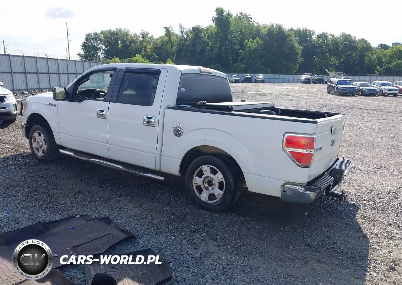2010 Ford F-150 Fx2 Sport-Harley-Davidson-King Ranch-Lariat-Platinum-Xl-Xlt VIN:1FTFW1CV8AFC14612 - 3