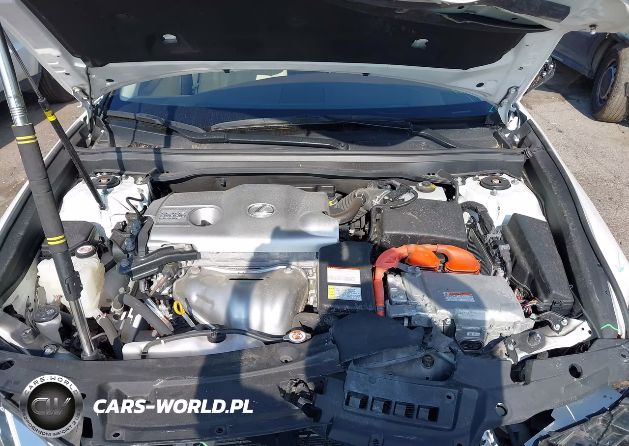 2018 Lexus Es 300H VIN:JTHBW1GG1J2189634 - 10