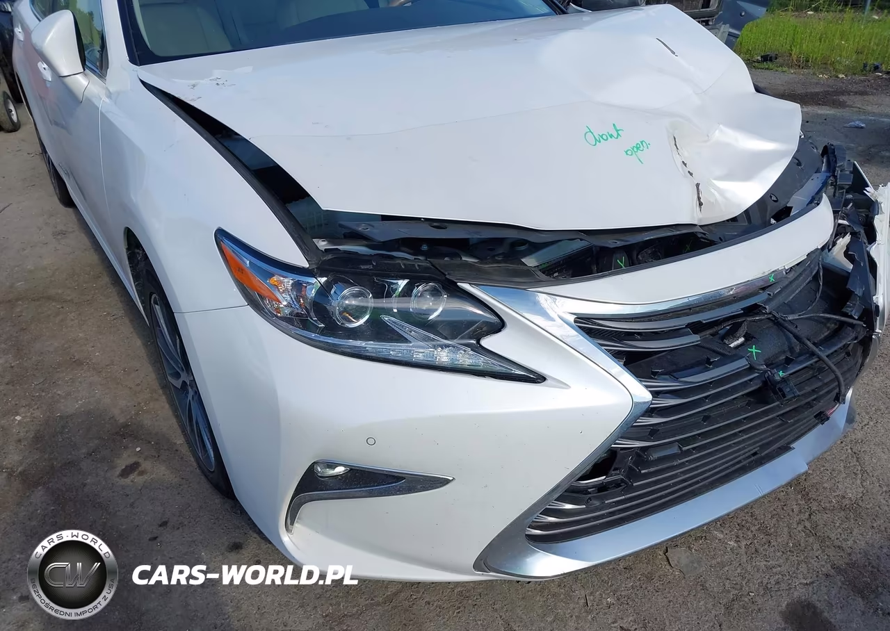 2018 Lexus Es 300H VIN:JTHBW1GG1J2189634 - 17